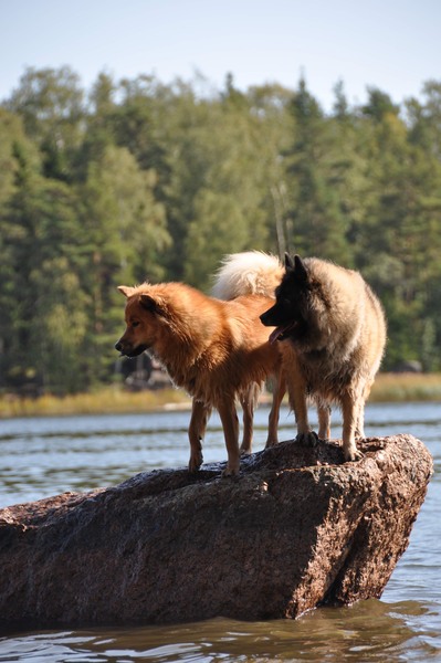 Siirry kuvagalleriaan