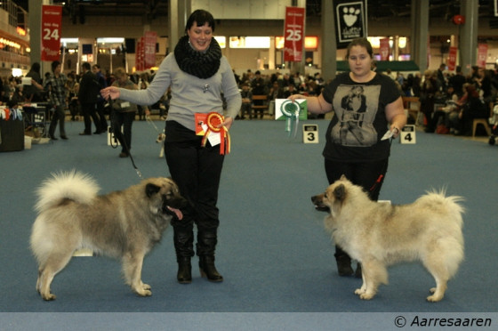 ROP, CACIB, HeW-11: Milaika's Fenno Farouk & VSP, CACIB, HeW-11: Essente Lamourette Lia